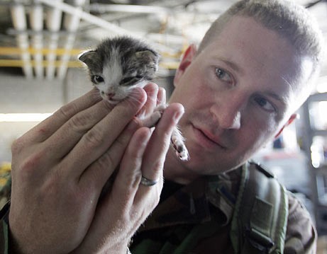 Etats-Unis: Animaux évacués à l'approche de Gustav... 183-6510