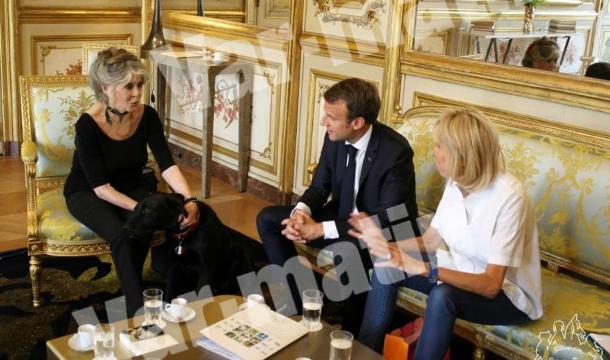 Brigitte Bardot, reçue par le Président Macron Captur11
