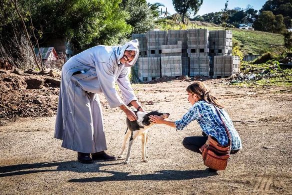 Maroc /Tanger: utilise des moyens respectueux des animaux Mooie-10