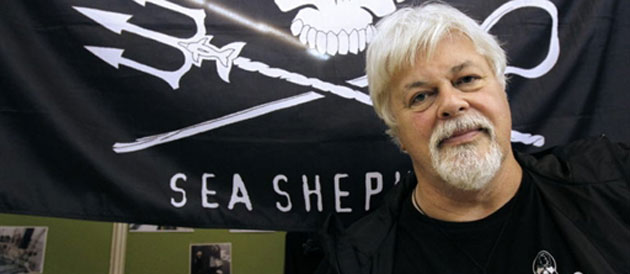 Premier message du capitaine Paul Watson depuis son départ Watson10