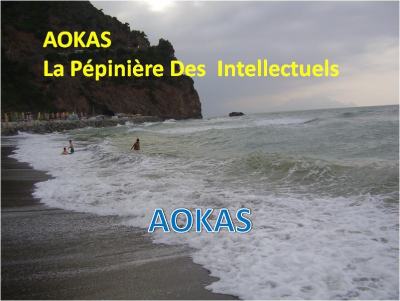 Aokas pour les nostalgiques - Page 30 1112