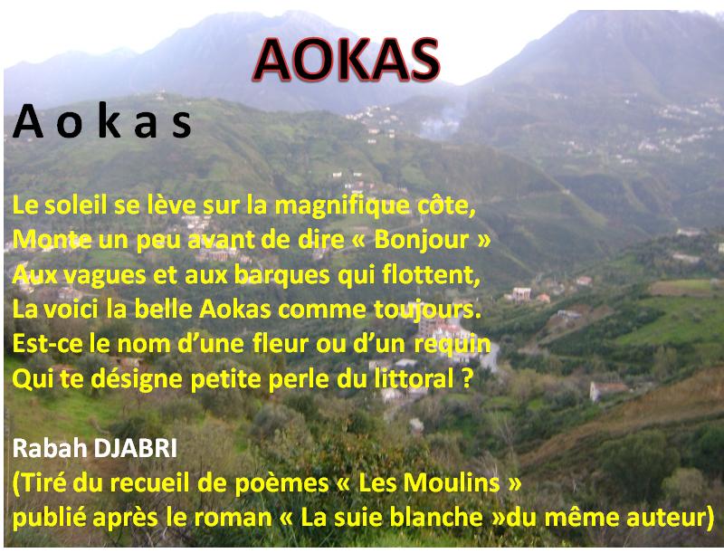 Aokas pour les nostalgiques - Page 36 1513