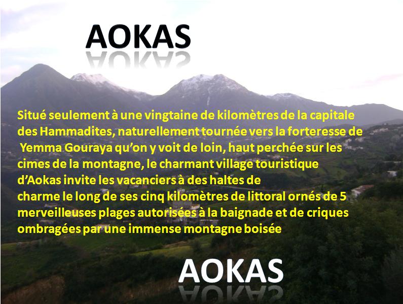 Aokas pour les nostalgiques - Page 36 1810