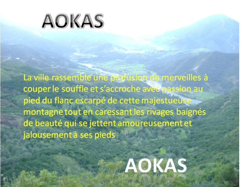 Aokas pour les nostalgiques - Page 36 2012