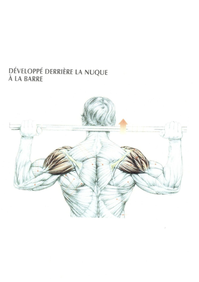 Le développé derrière la nuque à la barre Exos12