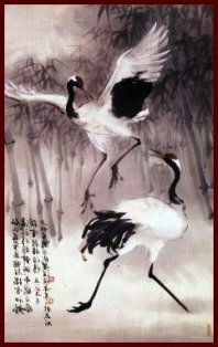 Bai He Quan Cranes10