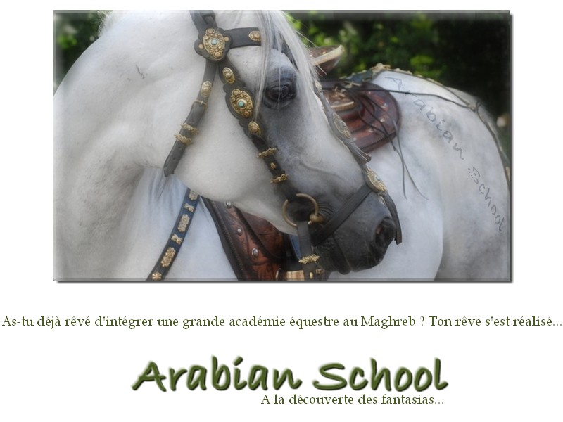 العربية أكاديمية  Arabian School