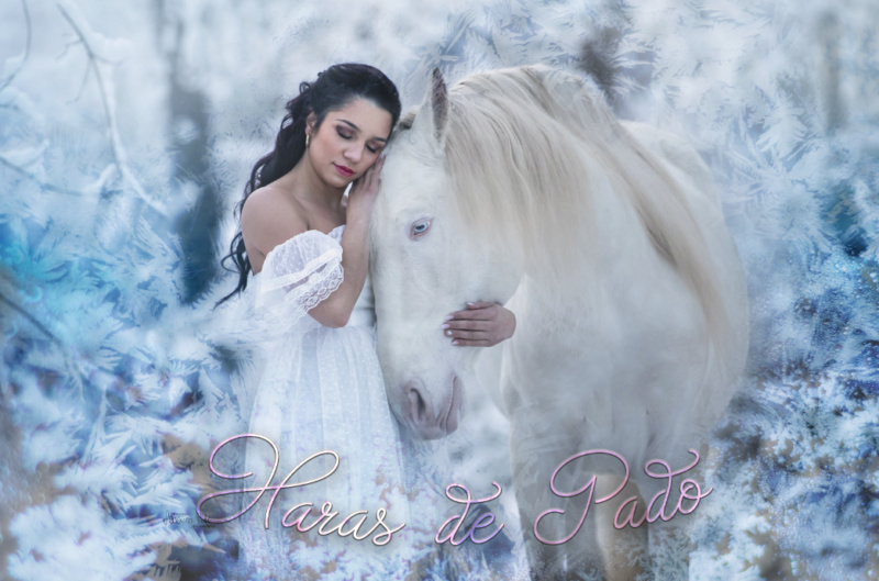 Haras de Pado