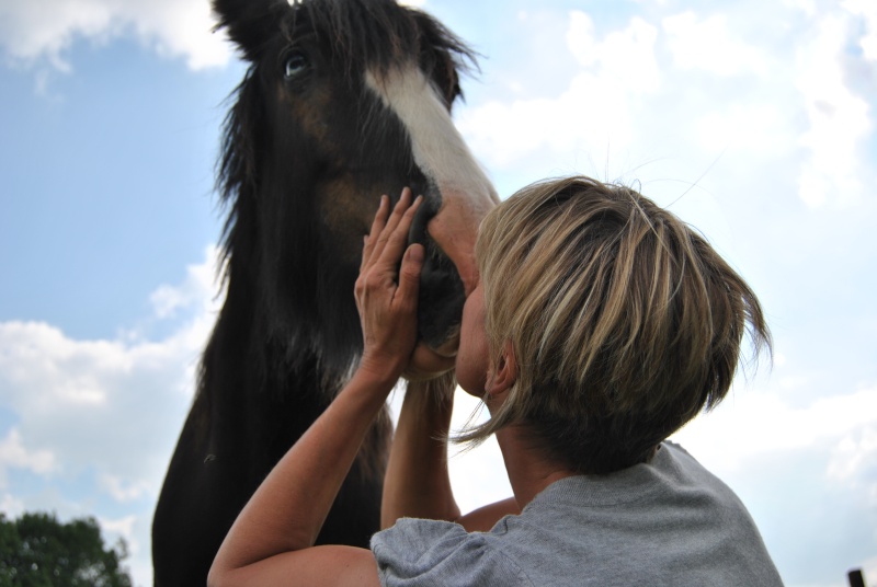 nouvelles d'osheen et ballades a dos d'irish cob Loulou10