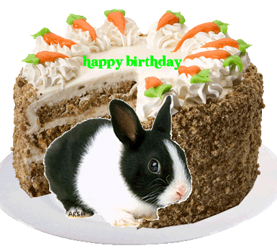 Joyeux Anniversaire Mido
