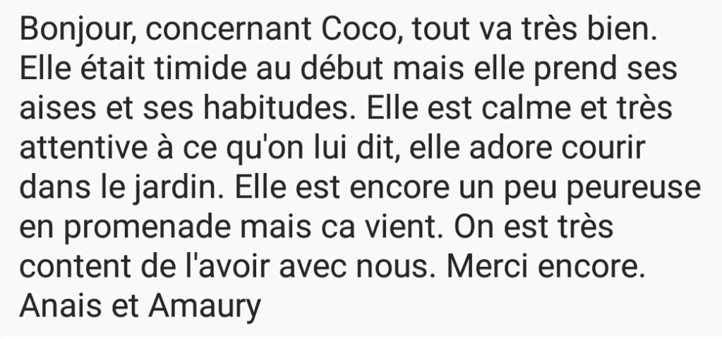 COCO - femelle croisée de taille moyenne à l'âge adulte, née en mars 2017 (Luiza Bucarest) - adoptée par Anaïs (02) - Page 5 Screen10