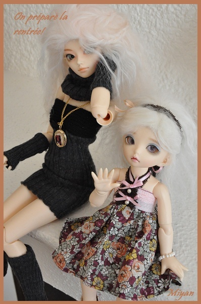 Les ateliers de Miyan:News msd pukifée et Zuzu delf! - Page 6 Rentre13