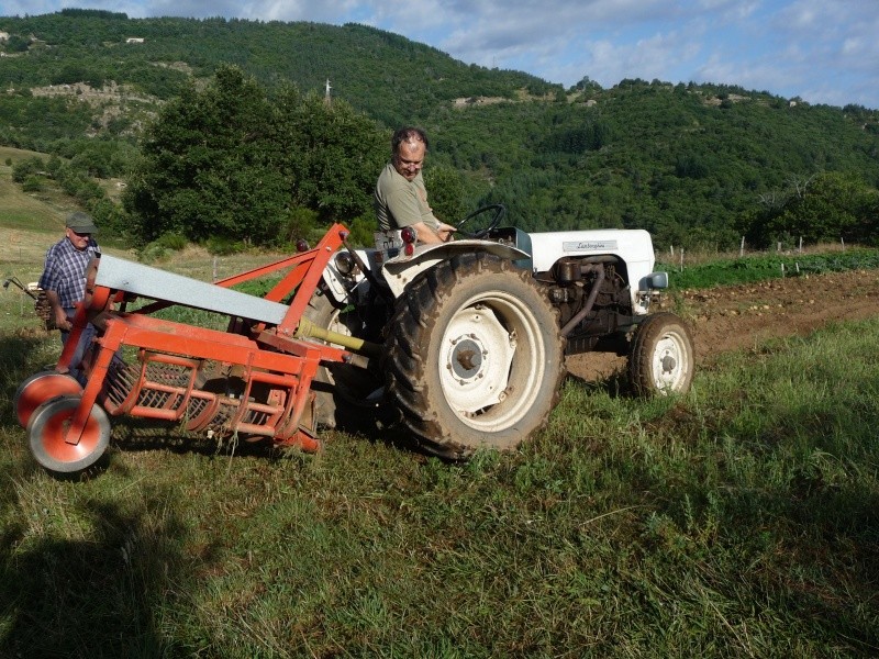 terre - Arrachage des pommes de terre avec le LAMBORGHINI Vacanc27