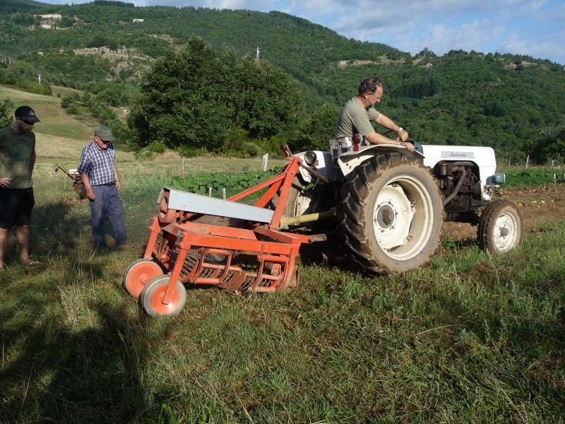 terre - Arrachage des pommes de terre avec le LAMBORGHINI Vacanc28