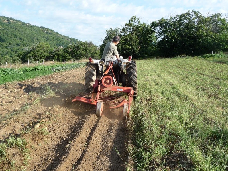 Arrachage des pommes de terre avec le LAMBORGHINI Vacanc29