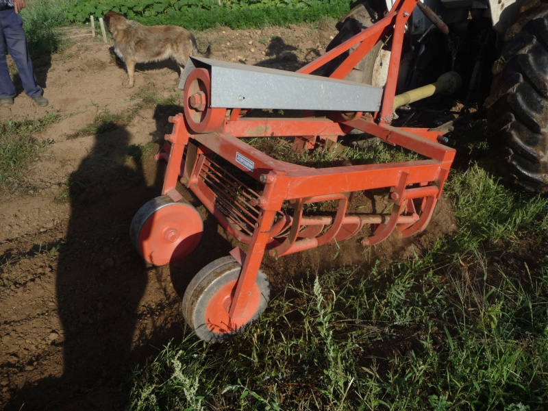 Arrachage des pommes de terre avec le LAMBORGHINI Vacanc34