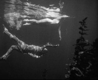Creature from the black Lagoon (Trilogie) (1954-56, Jack Arnold, John Sherwood) Black_15