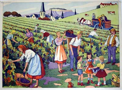 GRILLE 7 / LES VENDANGES VEN 12 ET DIM 14 SEPTEMBRE 2014 La-ven10