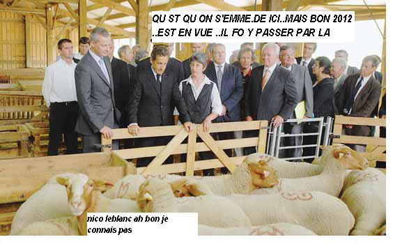 INDEPENDANCE QUAND TU NOUS TIENS !!!!!!!!!!!!!!! - Page 20 Zd11
