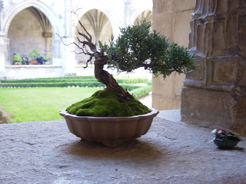 Expo régionale sud,Cahors. Cahors21