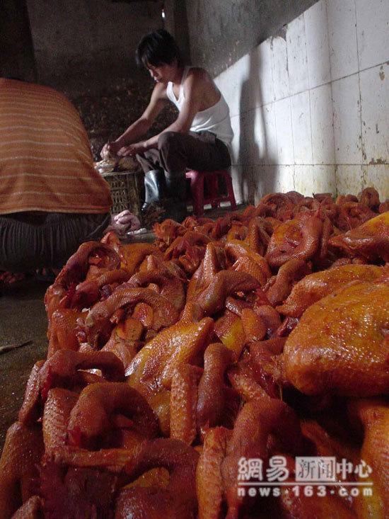 Sick & Dead Chicken Processing In China 1a26