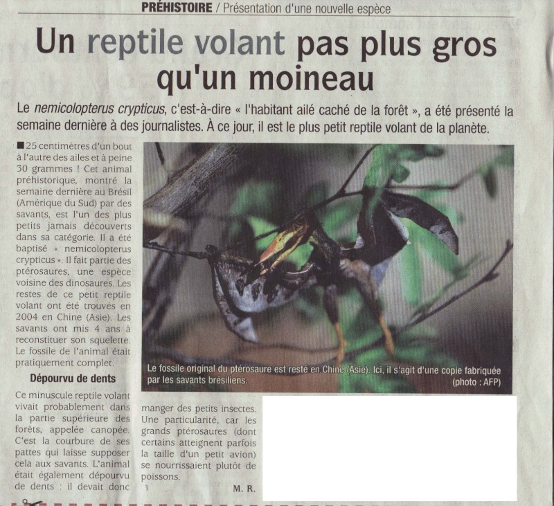 Nouveau ptérosaures Reptil10