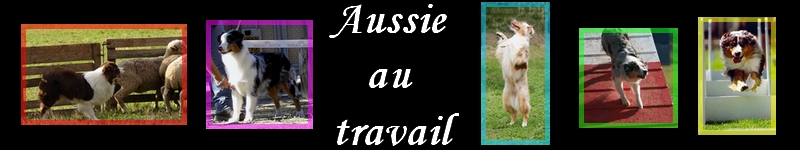 Aussie-au-travail