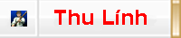 Dãy Event mừng Tết Mậu Tý 2008 Thulin10