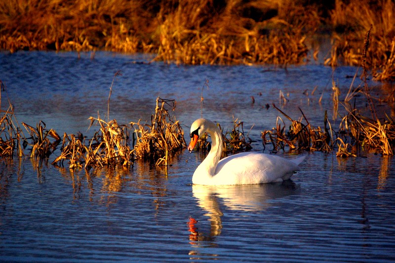 Au fil de l'eau Photo_18