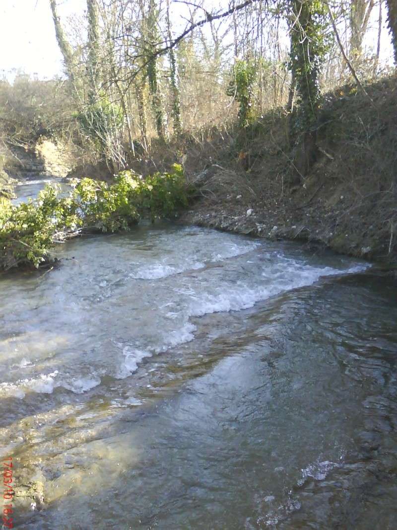 mes coins de peche (drome) Dsc00013