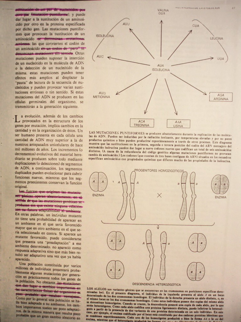 RESUMENES DE EVOLUCIN Me310