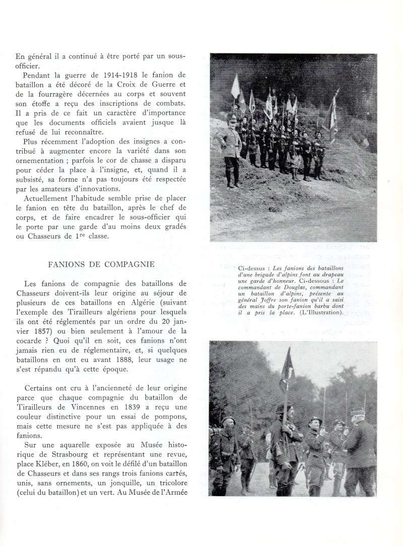 Fanion. Img04910