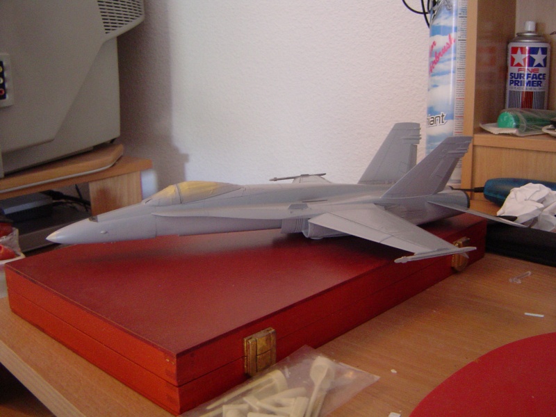 [HOBBYBOSS] F/A-18C (A+) Hornet 1/48 Dsc00111
