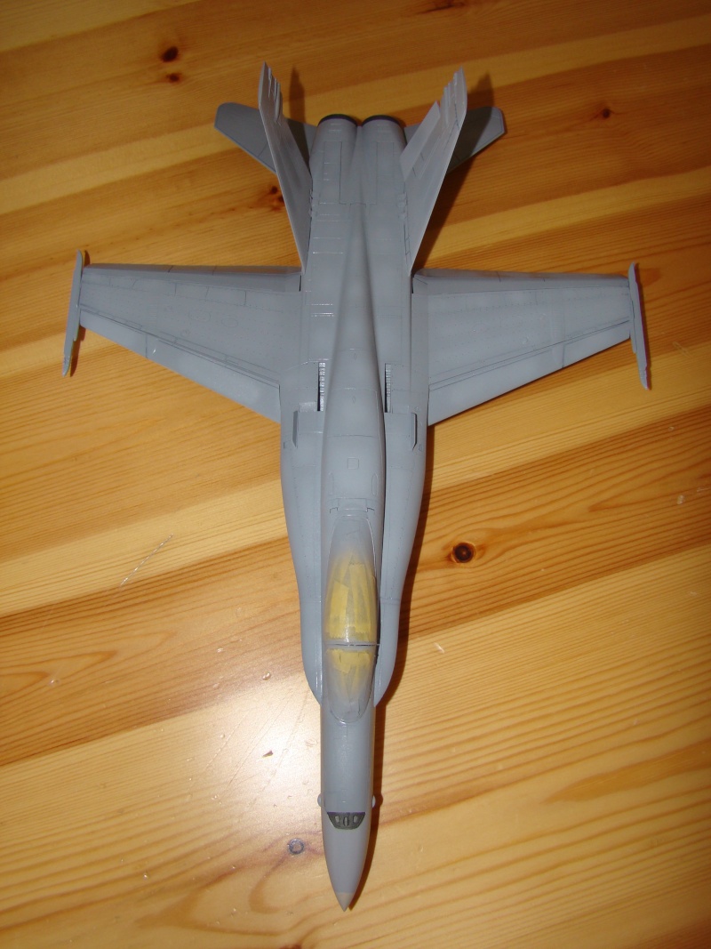 [HOBBY BOSS] 1/48 - McDonnell-Douglas F/A-18C (A+) Hornet  Dsc04610