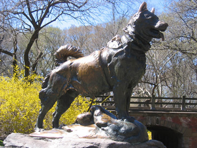 Balto Chien Loup Héros Des Neiges