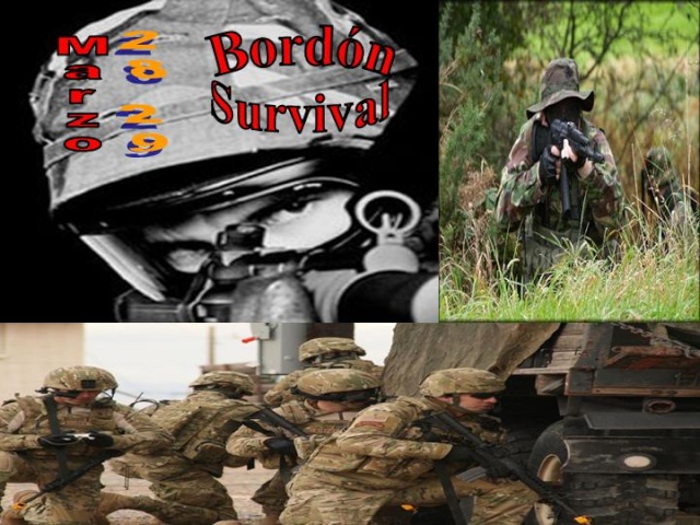 Bordon survival Bordon10