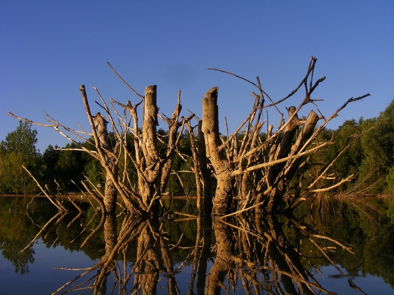 Le lauraguais ça à du bon ! Dscf3810