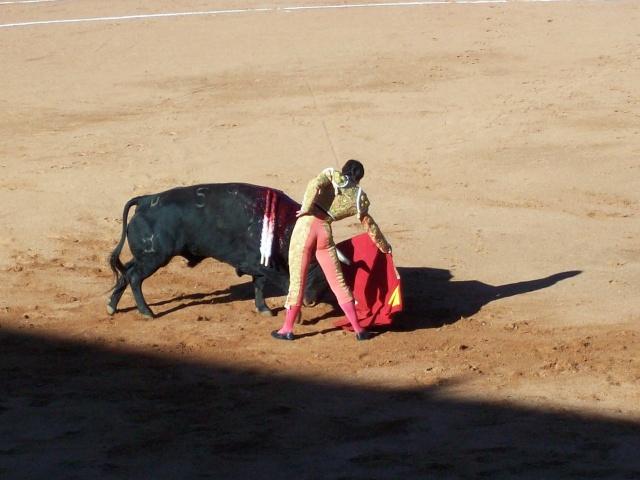 ...fu a los toros 100_0120