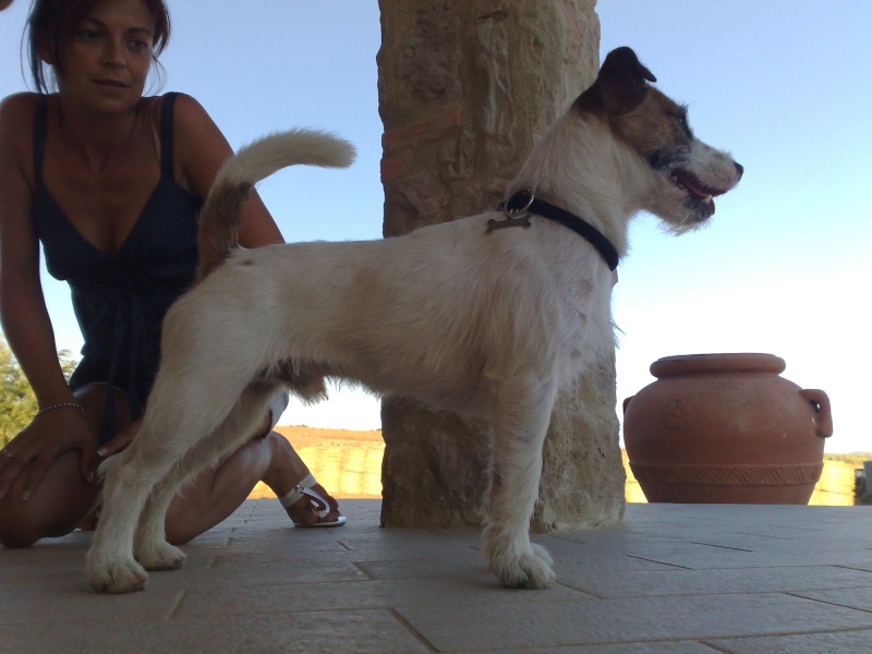 foto vacanze 10082012