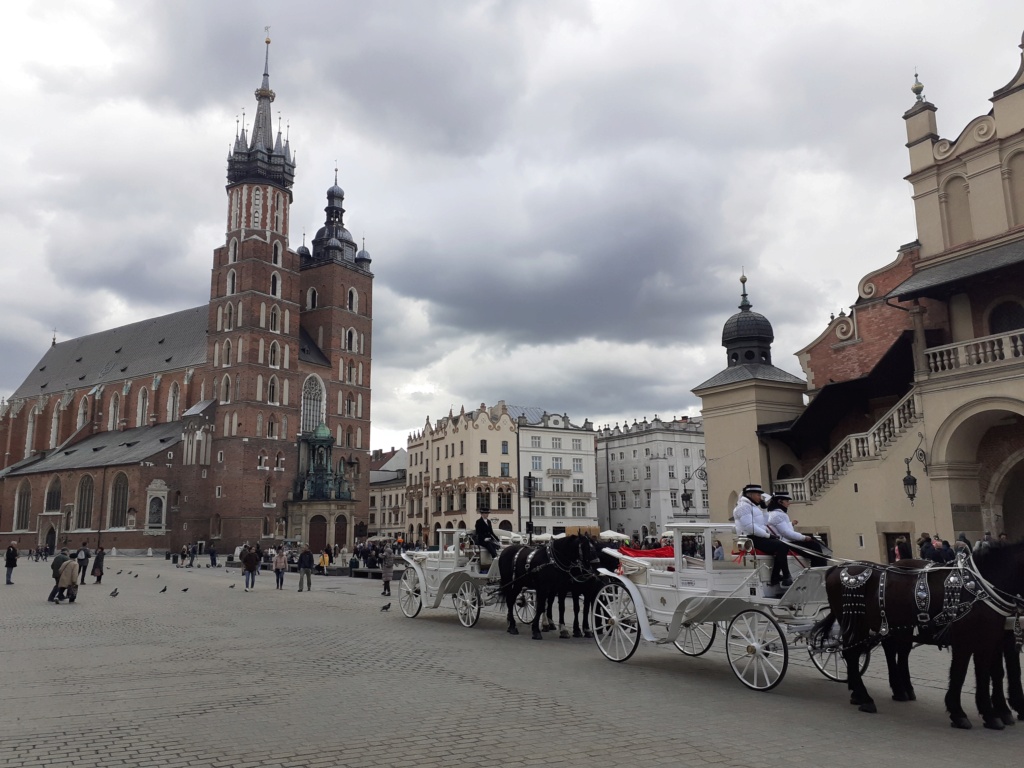 Visite de Cracovie 20230339
