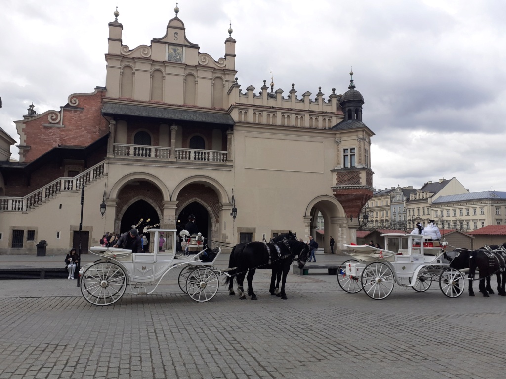 Visite de Cracovie 20230341