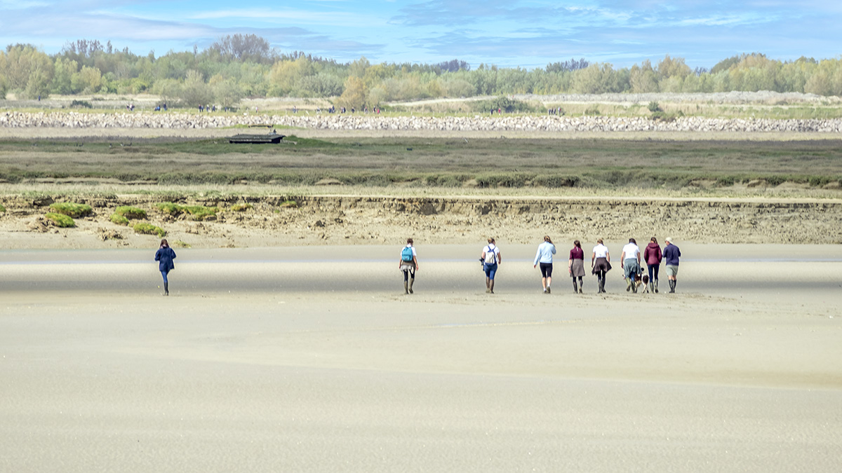 [Paysages] Lumières de la Baie de Somme 2 P1010132