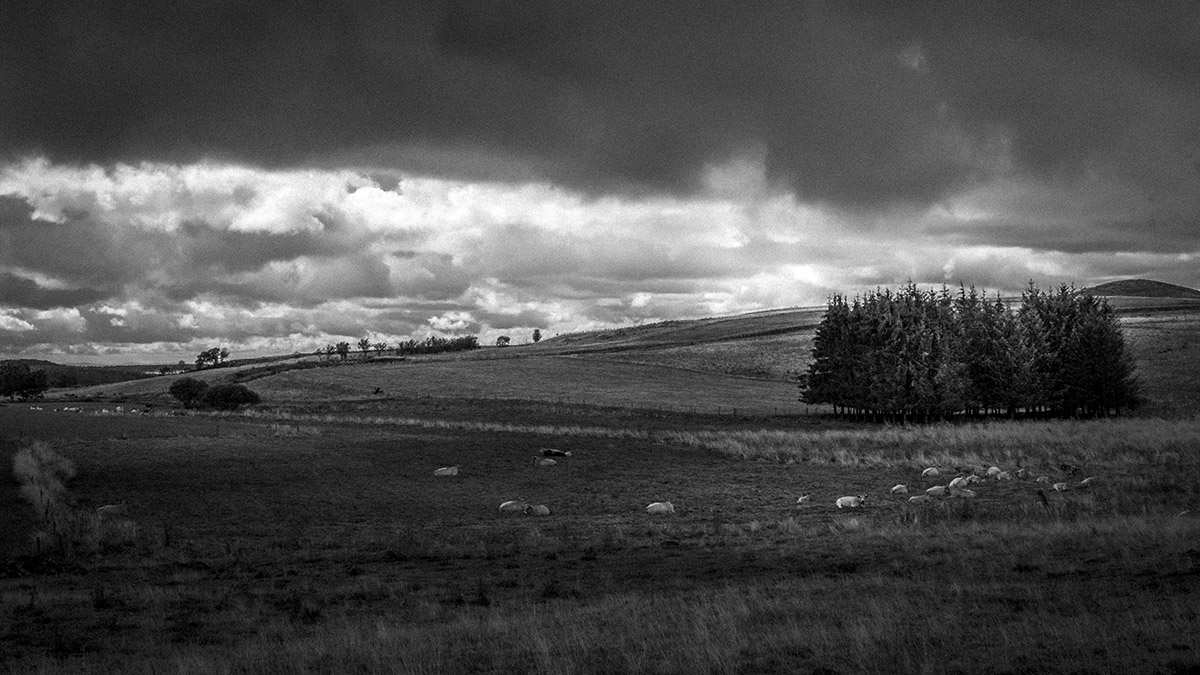 [Paysages]  ☞ Cantal ... P1110142