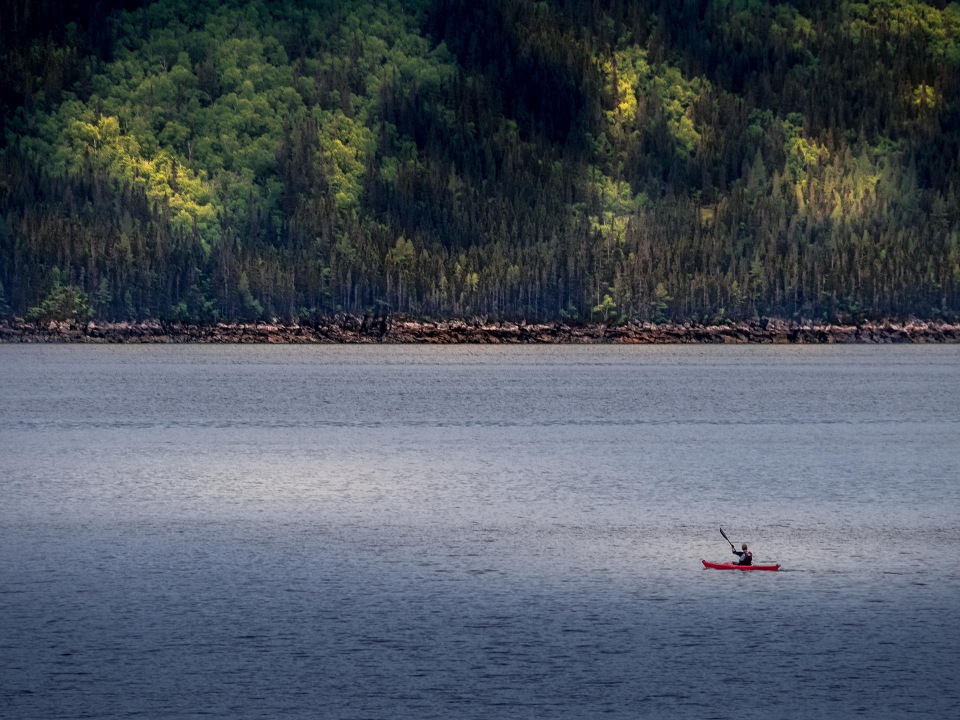 Le fjord du Saguenay  2 P6160810