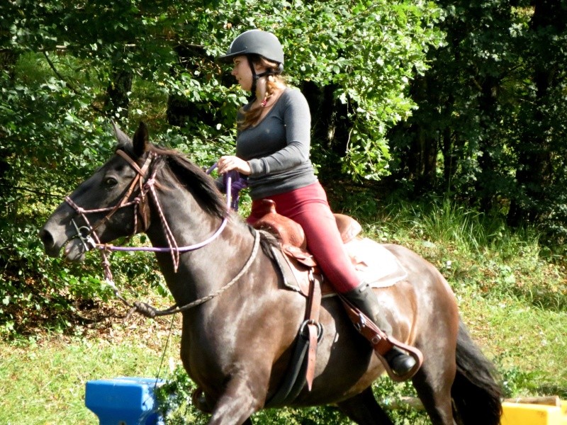 TREC amical dans l'avant pays savoyard 2012 - 3ème édition!!   - Page 9 Img_0428