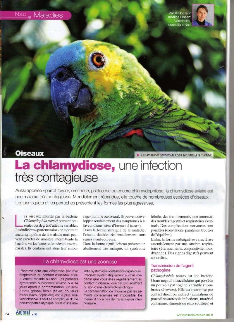 Chlamydiose - Une infection très dangereuse - Sujet NAC Chlamy12