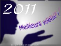 bonne annee 2011 Meille10