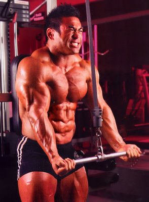 有效增大肌肉的健美訓練秘訣要領 Hideta10