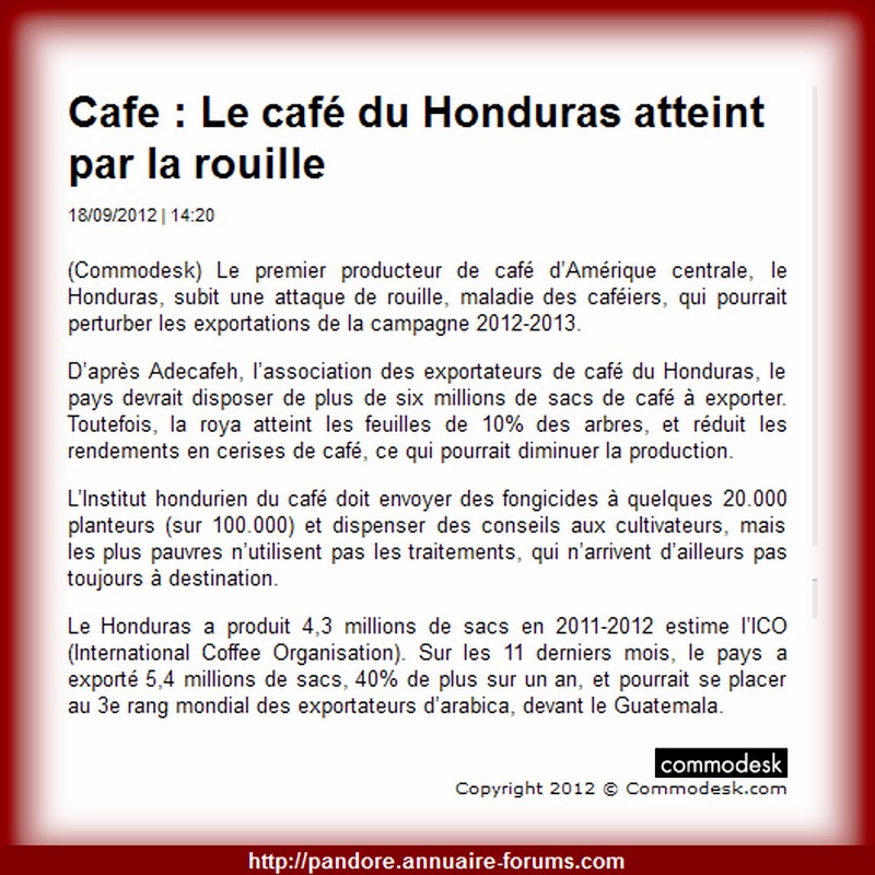  Cafe : Le café du Honduras atteint par la rouille 02_256