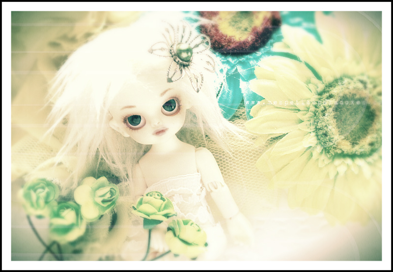 [Momo Dollzone] Lilirose dans les fleurs le 21/8 - Page 2 00510